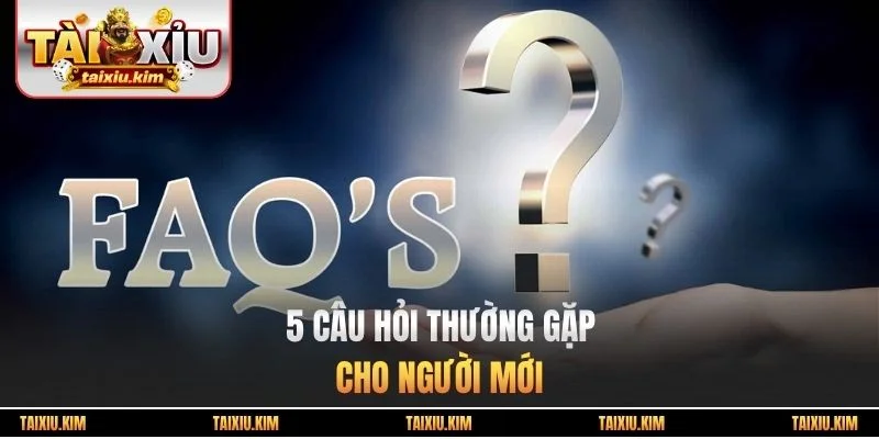 5 câu hỏi thường gặp cho người mới