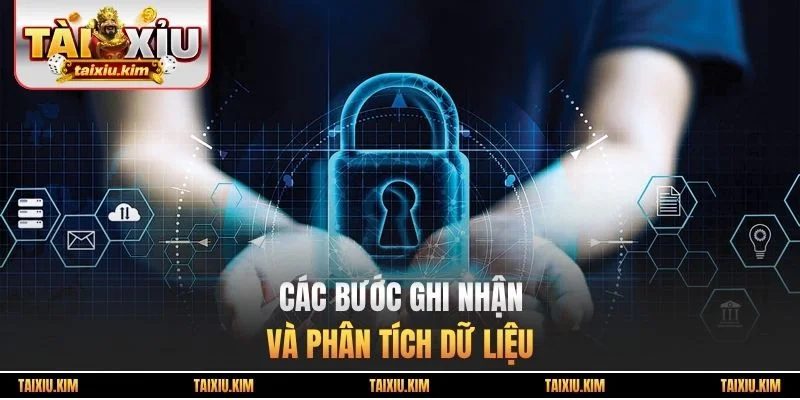 Các bước ghi nhận và phân tích dữ liệu