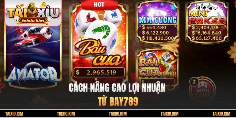 Cách nâng cao lợi nhuận từ Bay789