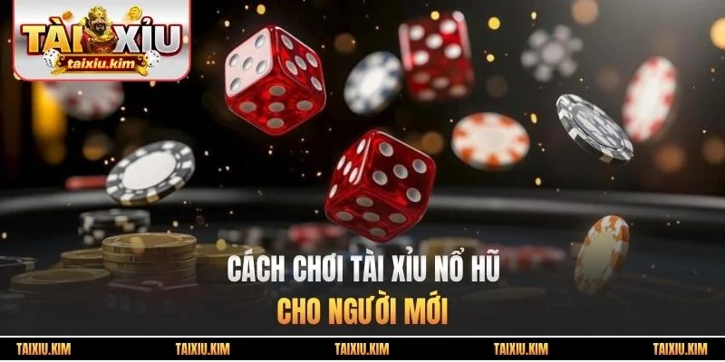 Cách chơi tài xỉu Nổ Hũ cho người mới