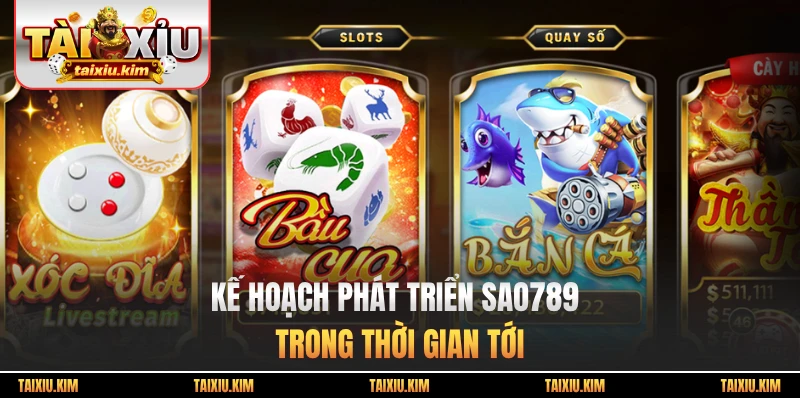 Kế hoạch phát triển Sao789 trong thời gian tới