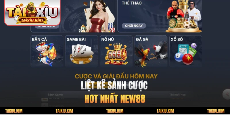 Liệt kê sảnh cược HOT nhất New88