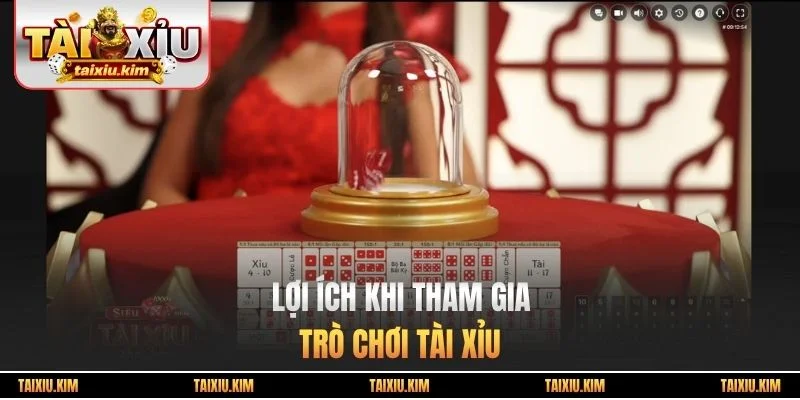 Lợi ích khi tham gia trò chơi tài xỉu