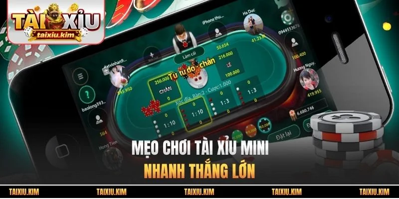 Mẹo chơi tài xỉu Mini nhanh thắng lớn